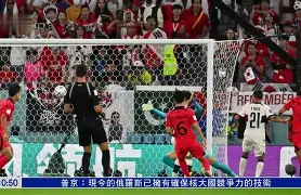 Duomi Sports-如何去瓦努阿图